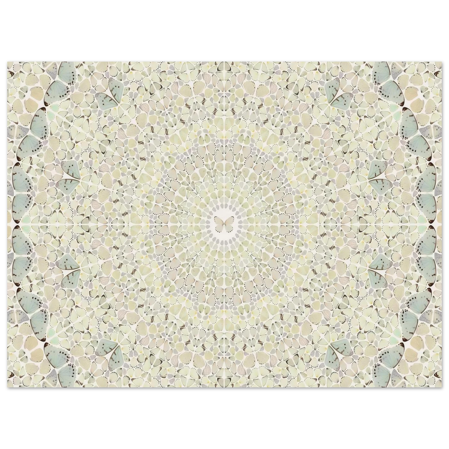 0d27e83a-72df-4830-a7c2-960989c152dc