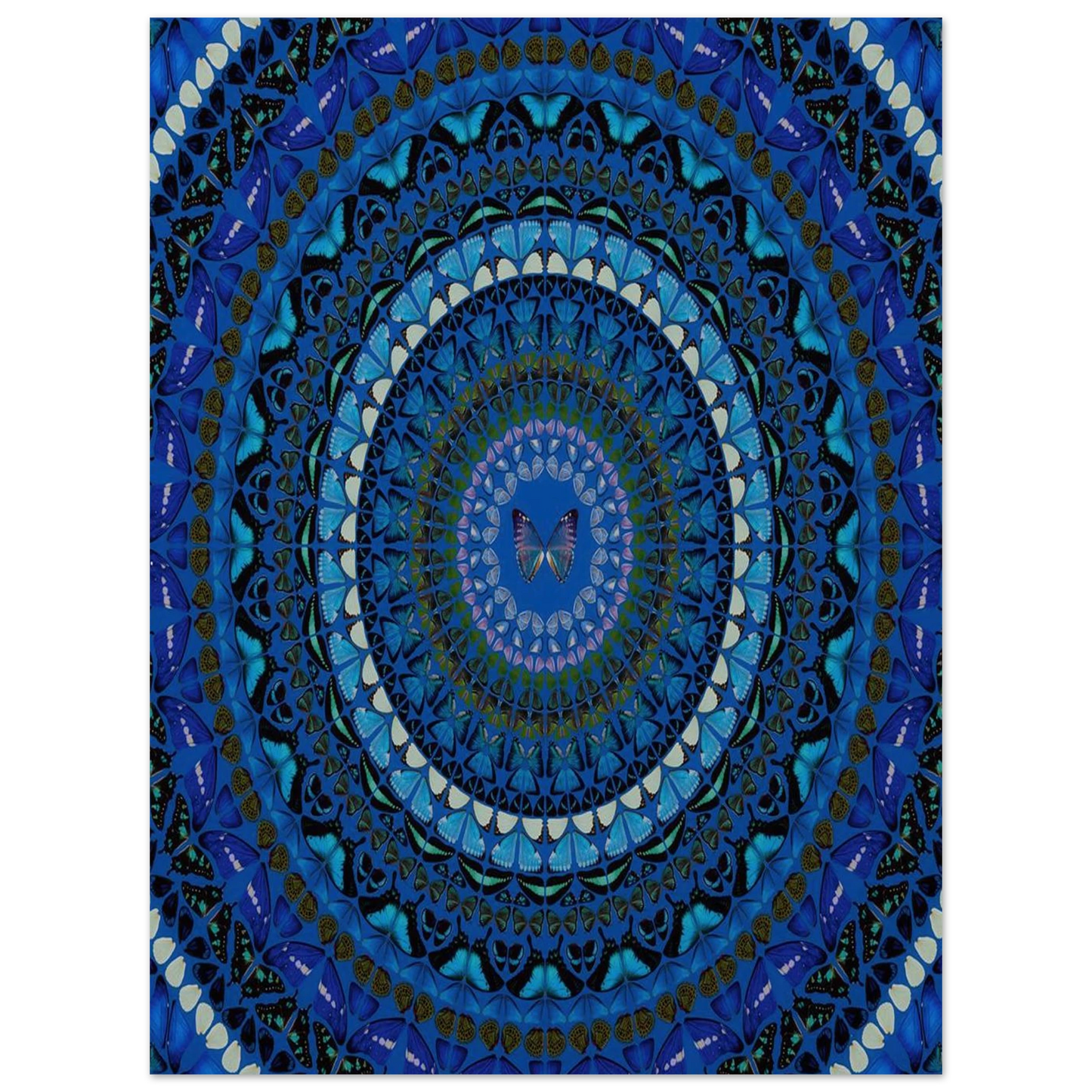 192d6a91-214a-41d8-b544-5a23895131d7