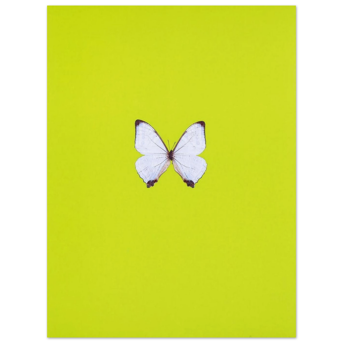 216b4c3c-b094-4273-bf68-4c12bb97e82d