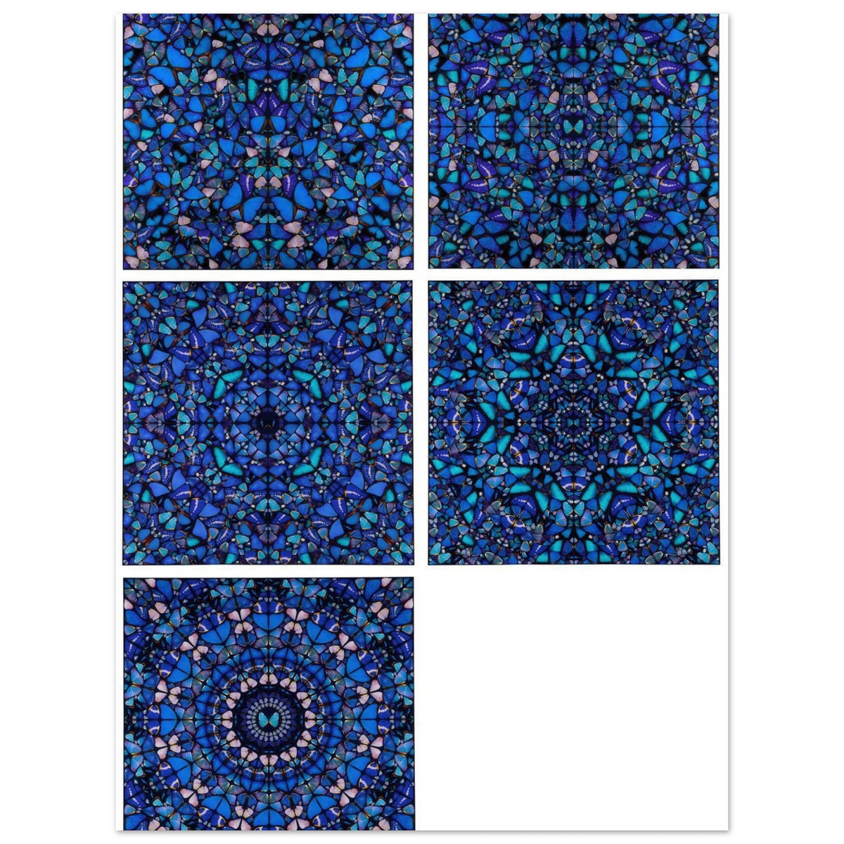 48f3aa5f-7e50-438f-8cbf-fd5e17bcf310