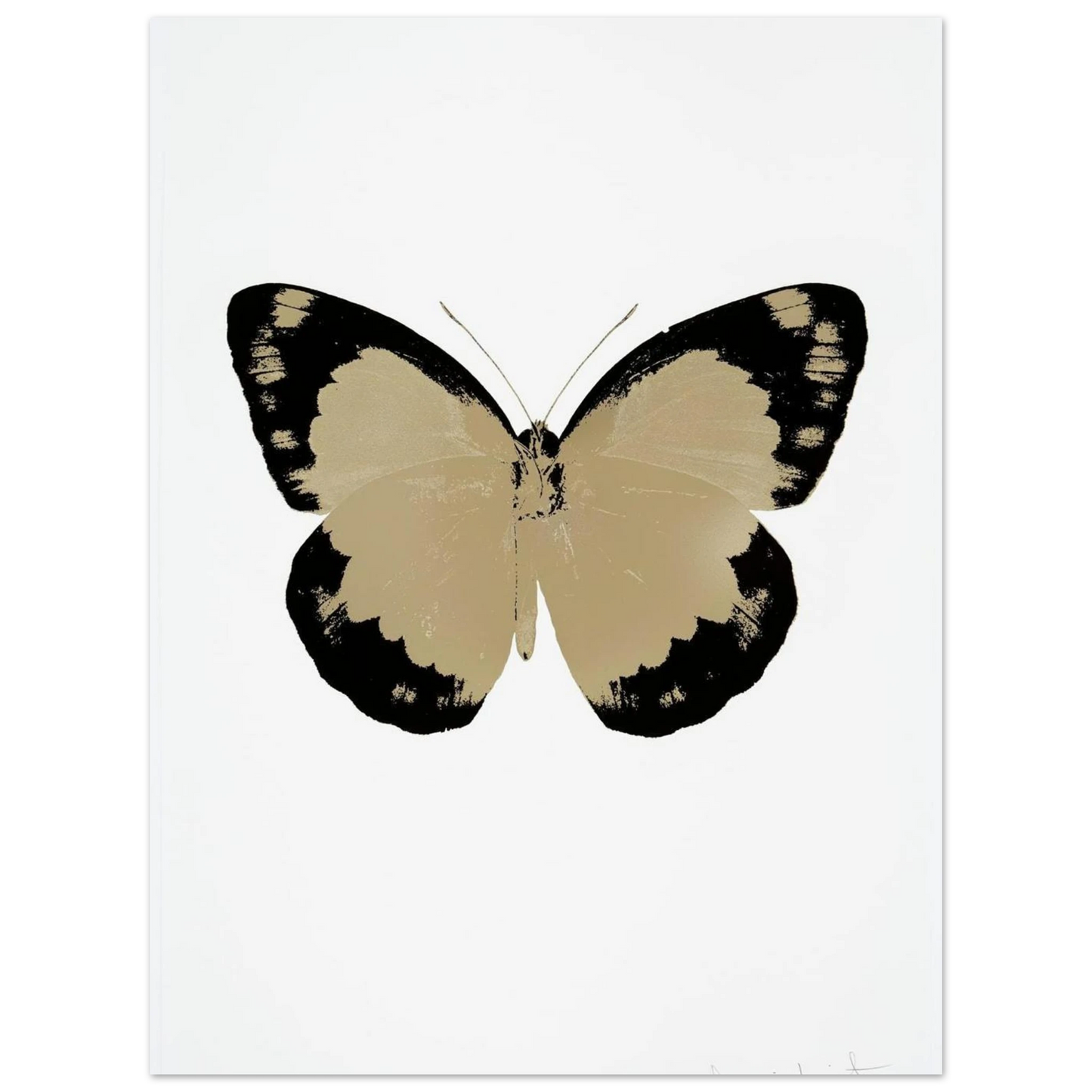 4ee8f61b-f4b5-41d5-aea5-b2e1d3e2825c
