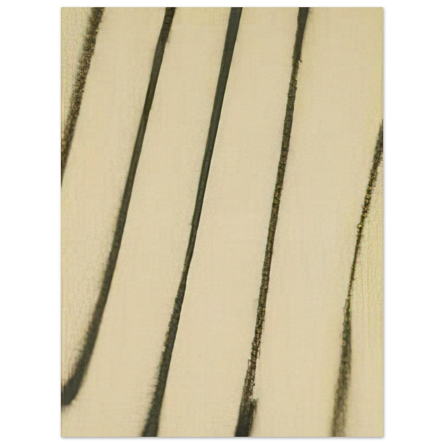 4feb03ab-5e0b-4ac4-bf71-7c14e3ac558a