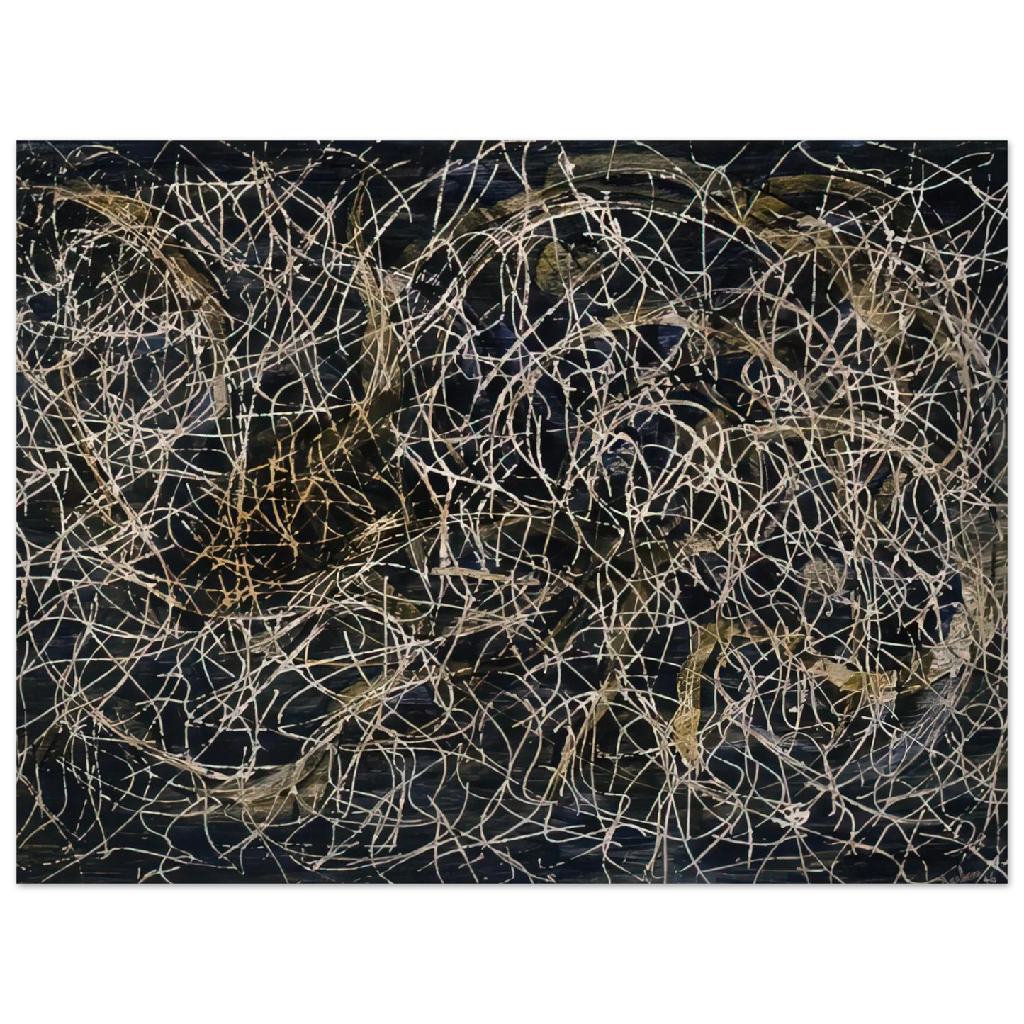 51ca3858-eba4-4739-9ee4-7b44a02a3a75