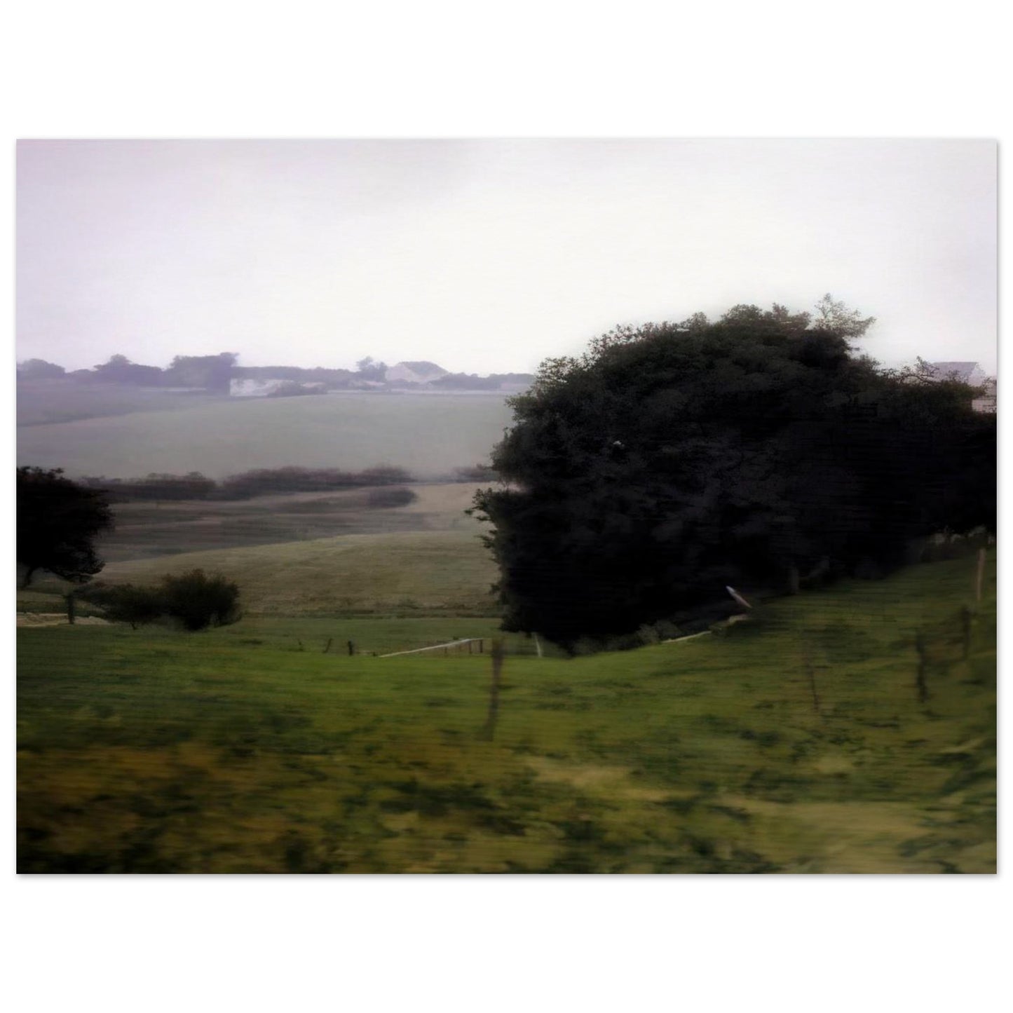 868aa989-02df-41d5-af74-e1bc87877cb5