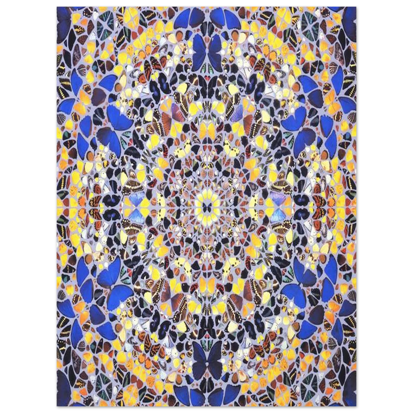 9b35c015-1a30-4e50-b426-127f3aaf5aec
