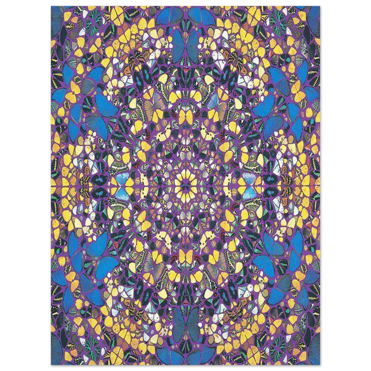 9cf915c6-9ff4-4c96-acc4-757b28b59c97