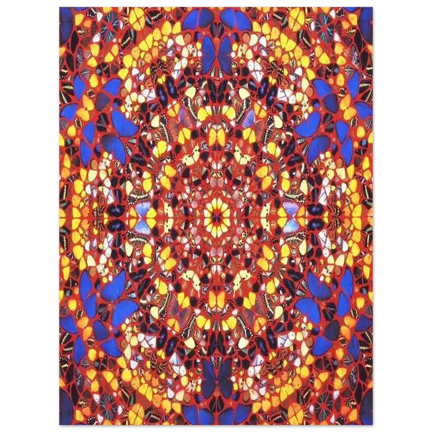 a0b1d0c5-d6b8-4704-b676-95c912ff484f