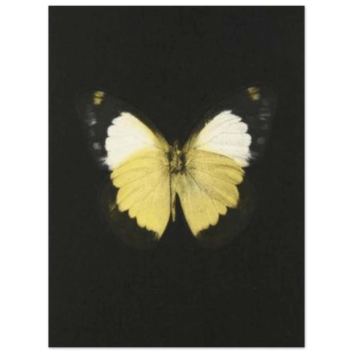 a4f30879-78a8-459f-b5e0-95c1fbc47b1f