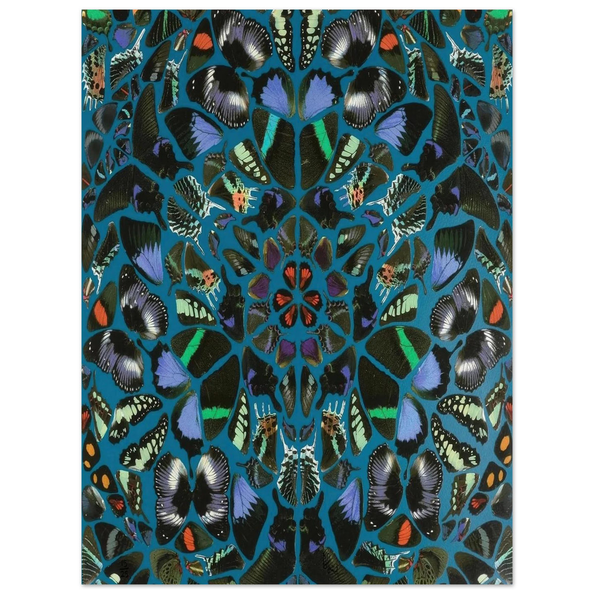 bd1ed7ec-00b5-4f63-bcc4-d0165f6c4cee