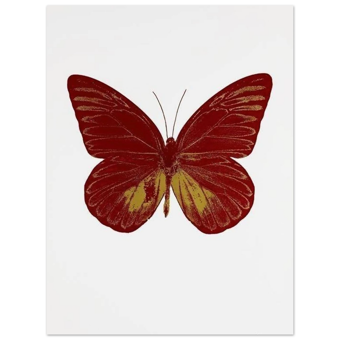 cfcb8024-0746-4b26-87e2-5105f43ca00b