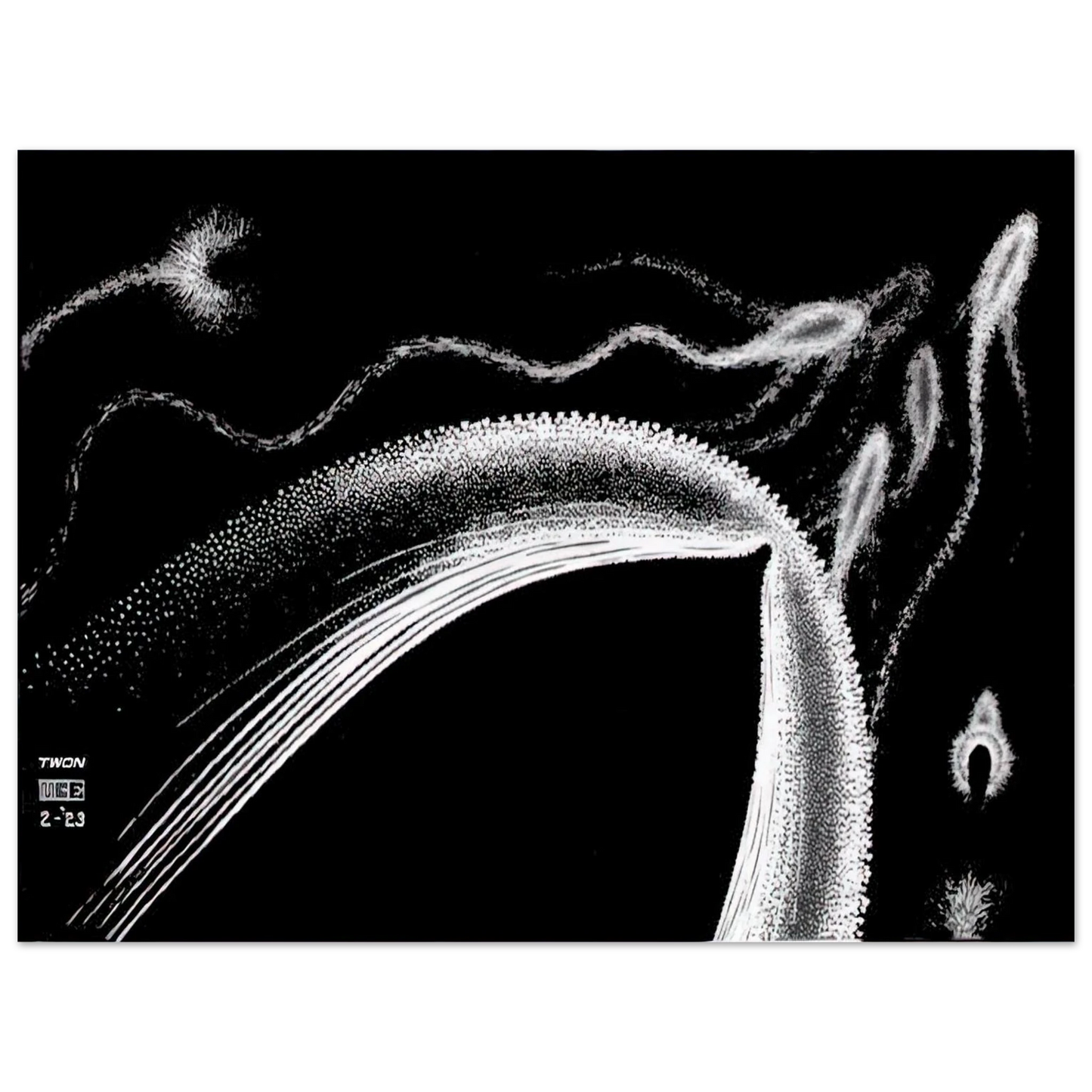 cfd95401-b250-4339-9a6a-f25b920c61a5