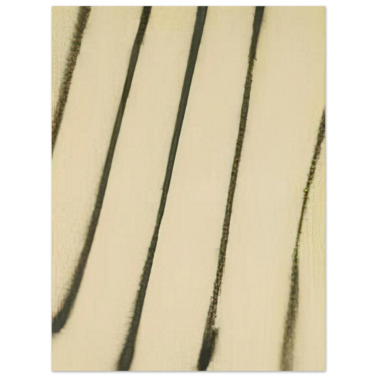 d9354c23-8b47-4d87-bc73-c06fad68d6da