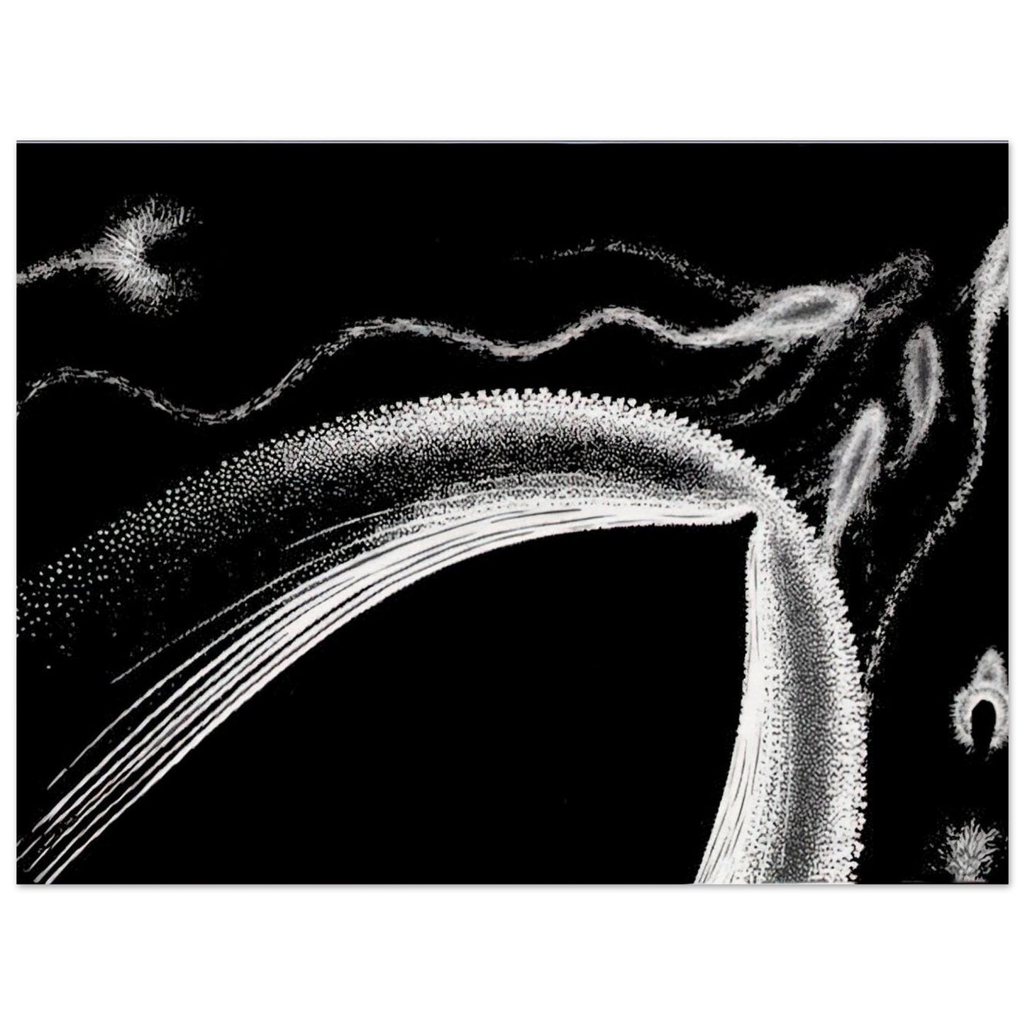 e2ee5256-e006-4ede-950a-802bc2be7277