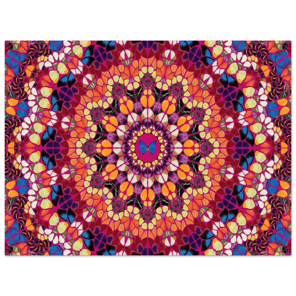 f73eb560-8f26-470b-9af4-56d65216909b