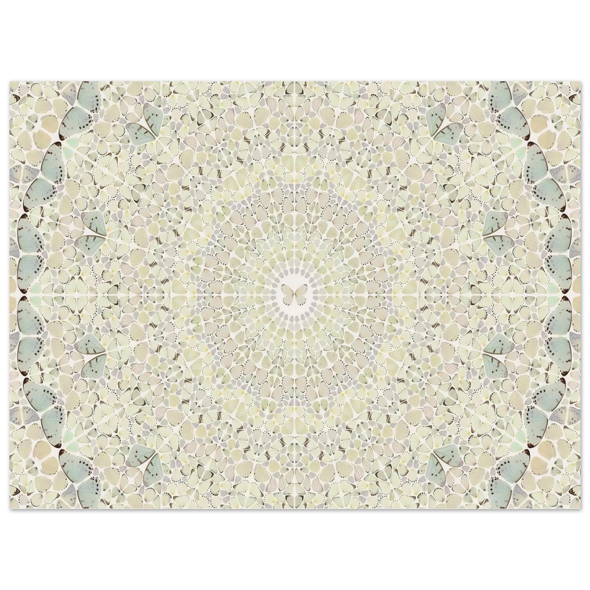 03ddef16-5408-4365-aab7-b1b5896779b2