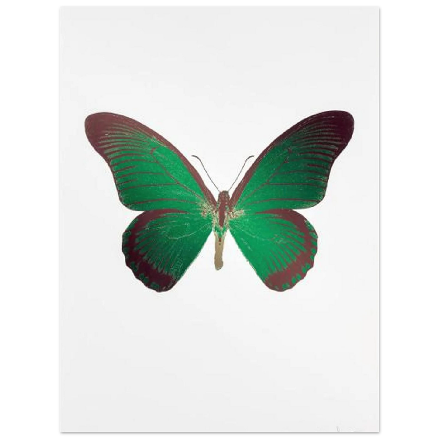 060ec6d1-6546-44fe-91b7-00ee2276dc3f