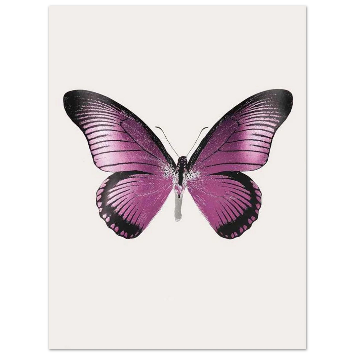 0a072e84-954b-4f60-aa2b-e03fb3903370