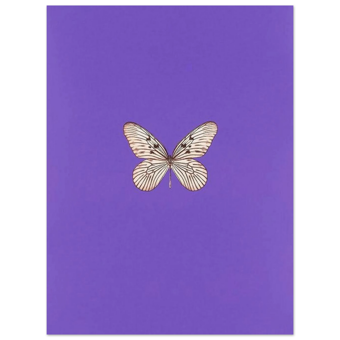 0b0fa650-50ea-44df-8f9f-df347aee3eea