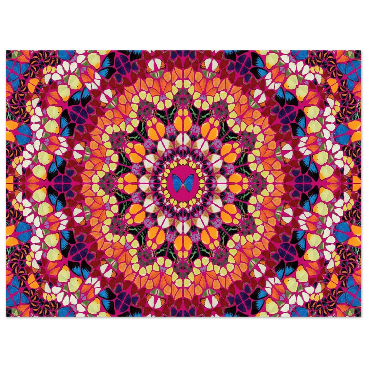 0cd82bfb-9efe-4f7e-8b6b-888eee82a6a1