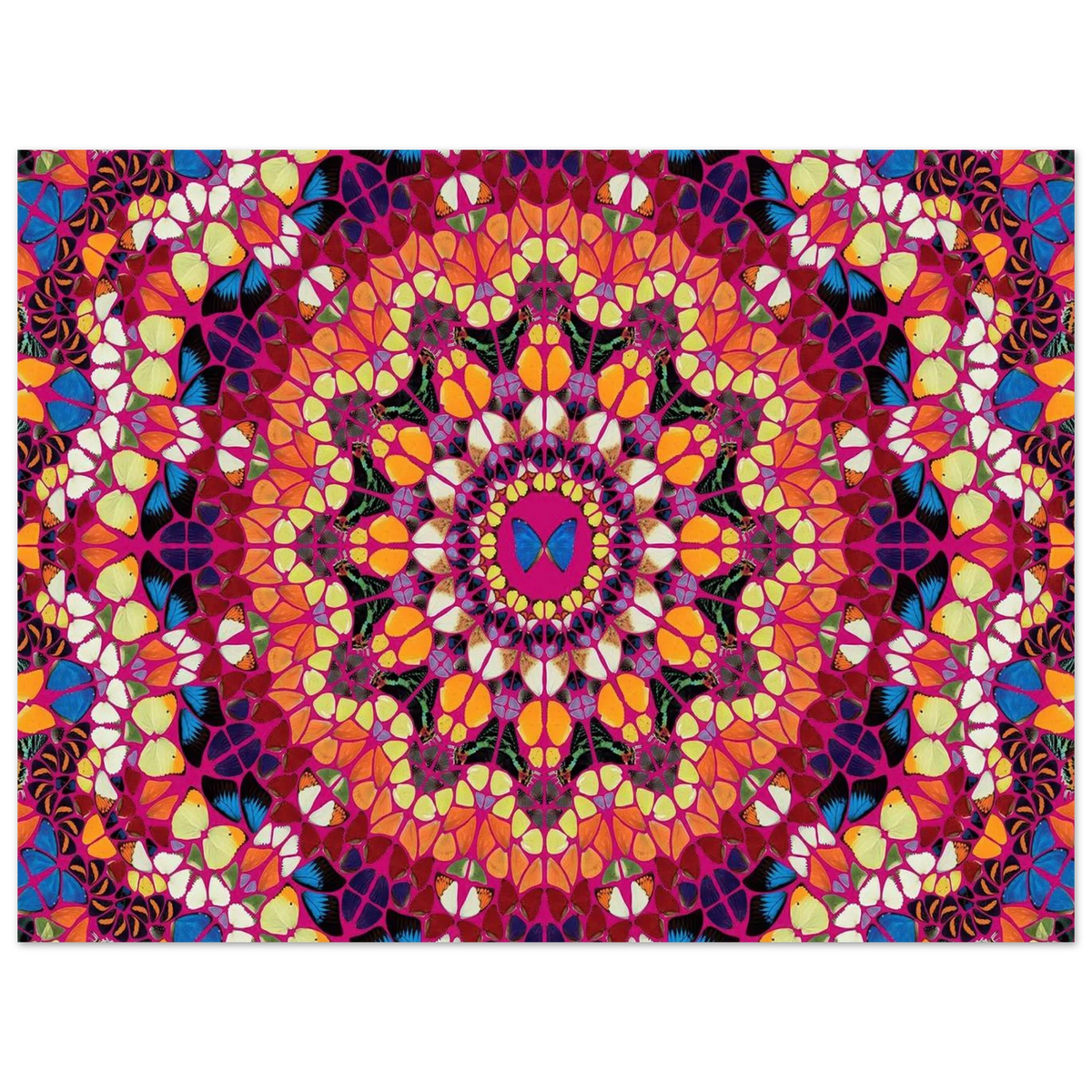 0cd82bfb-9efe-4f7e-8b6b-888eee82a6a1