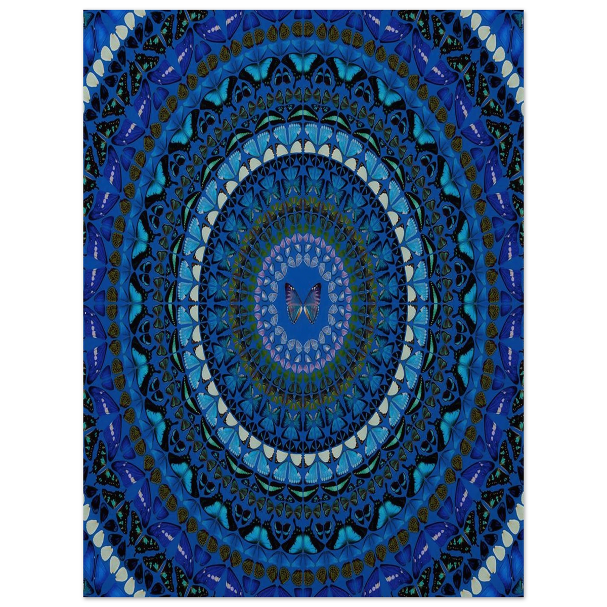 0decf64b-4af2-4cd7-93f2-5d38bf84b0b0