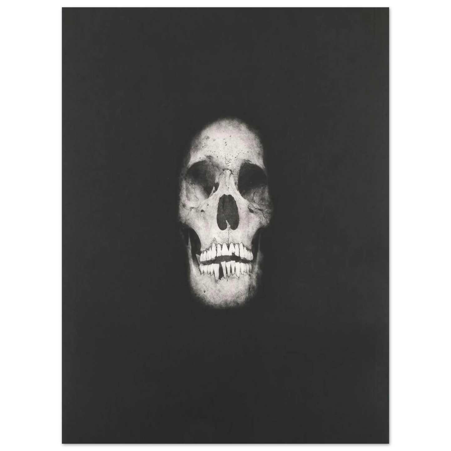 0f12dccb-e7ca-4820-810f-8492f0ce4a8f