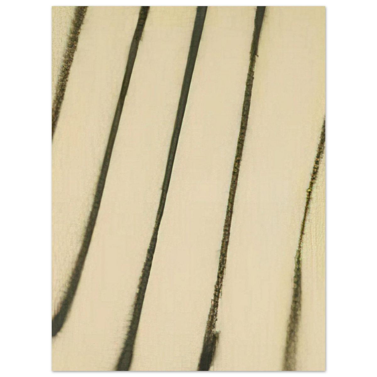 0f6e91a0-614d-473f-9b6c-c02499266640