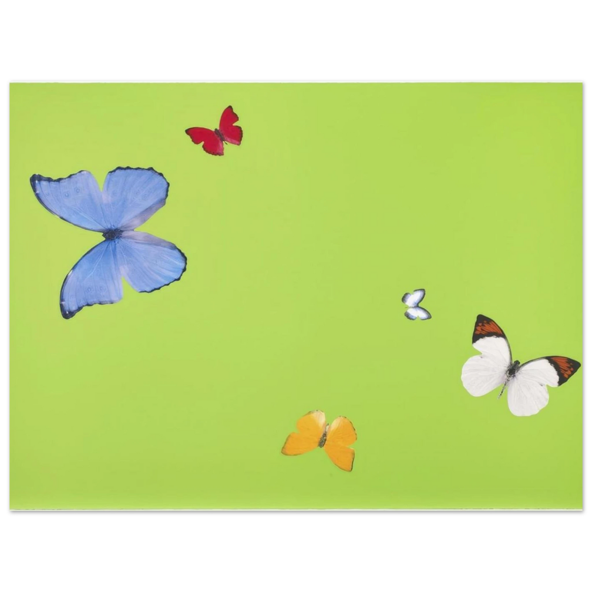 14c3669a-3e55-46ec-a0b0-d2096f69b628