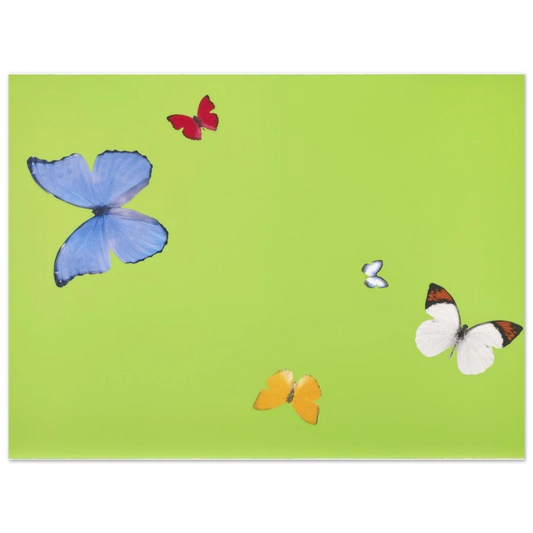 14c3669a-3e55-46ec-a0b0-d2096f69b628