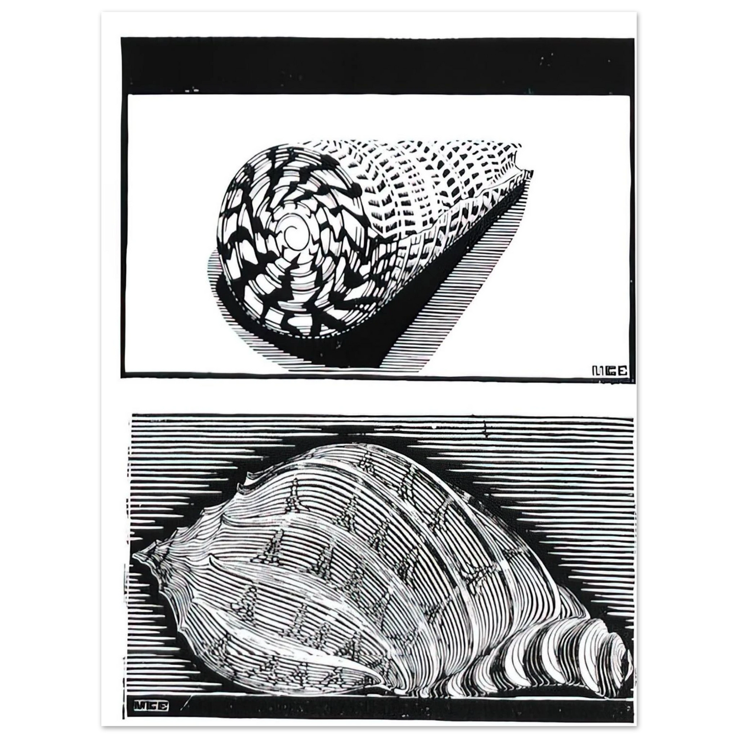 18f3ec98-9ff0-4a64-9f3c-e32b568fac2c