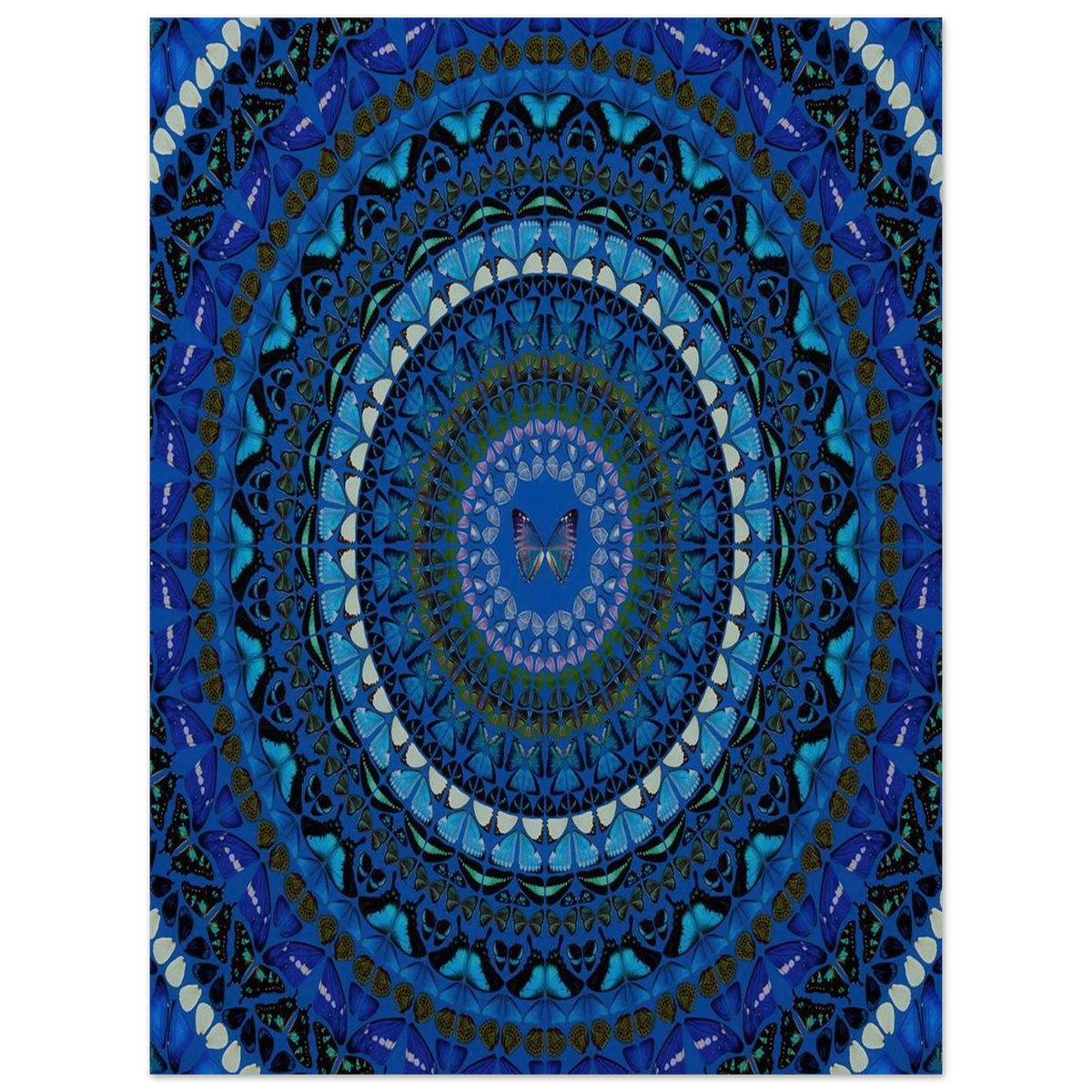 192d6a91-214a-41d8-b544-5a23895131d7