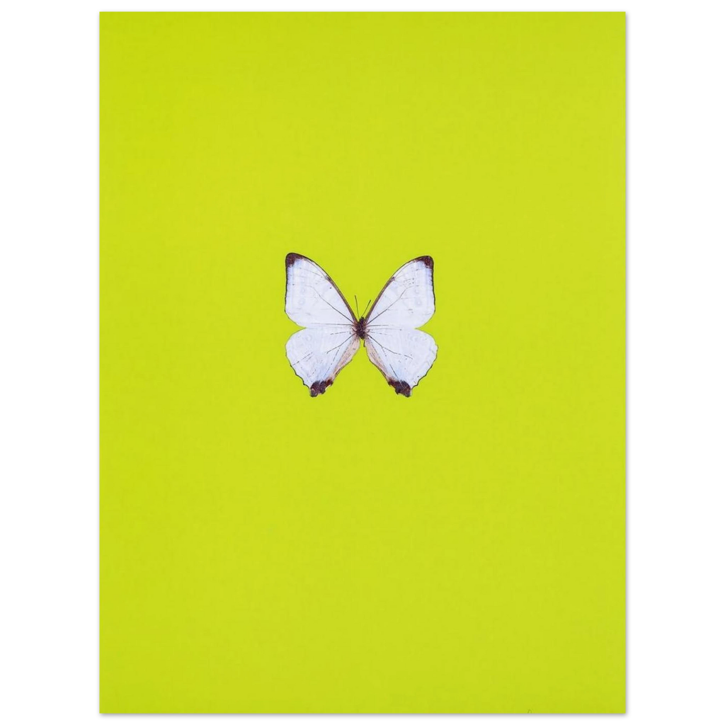216b4c3c-b094-4273-bf68-4c12bb97e82d
