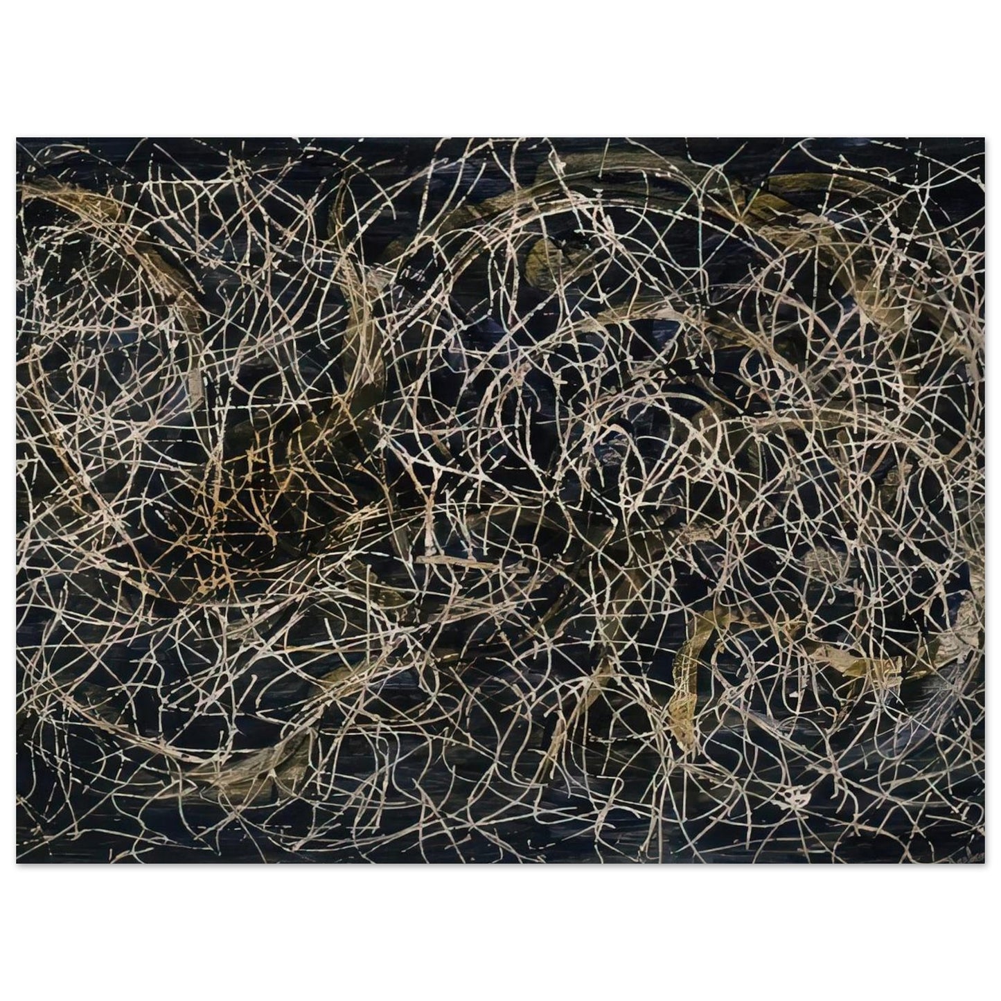 2539e517-ecf5-4a52-aa82-9f09ca6b475e
