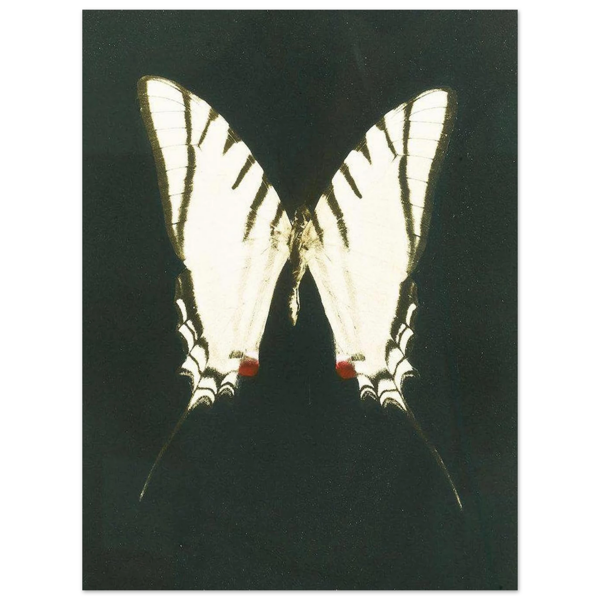 270d6a04-a098-4fb0-911e-413b082632c9
