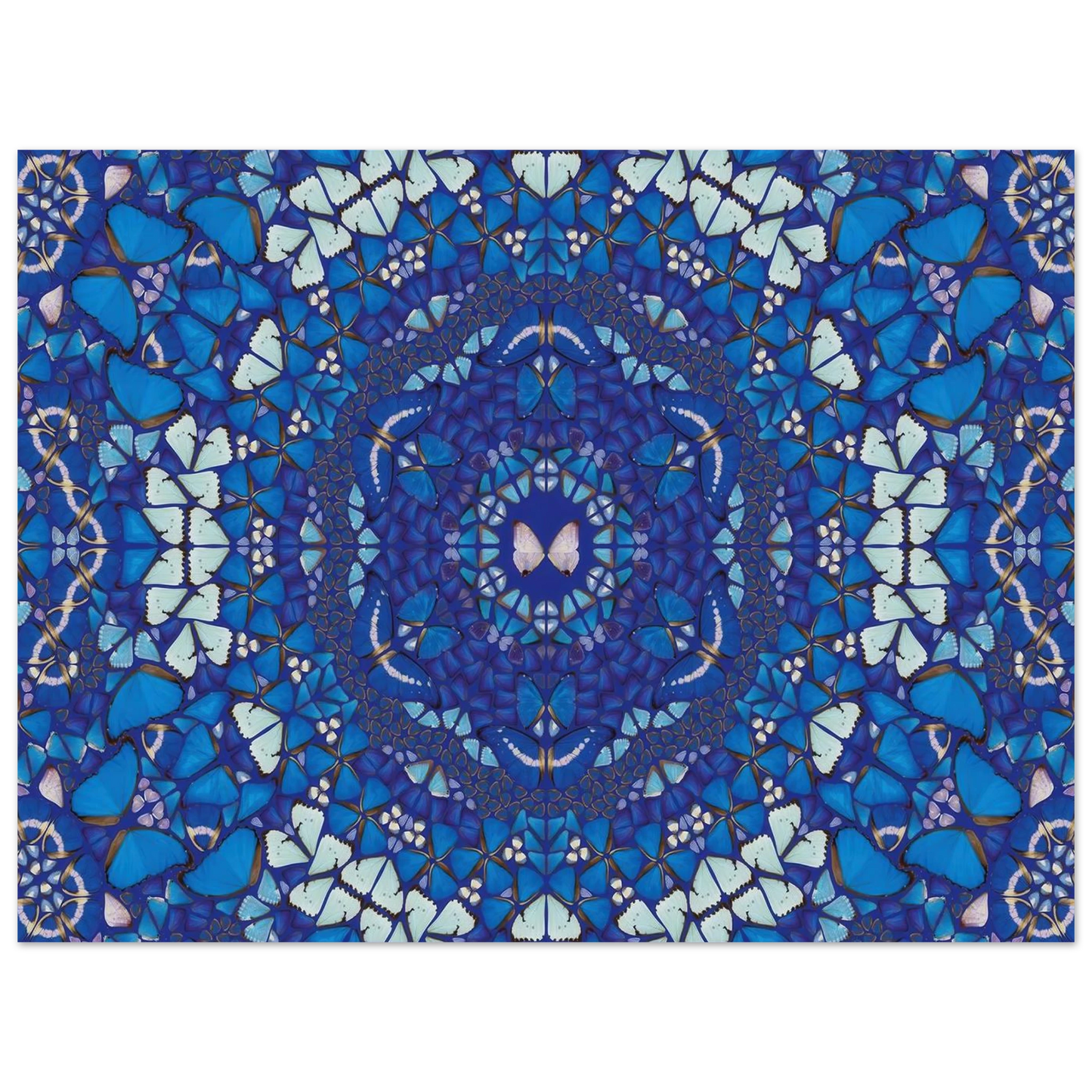 29428ec9-3dba-4874-a6c0-f9e3eaf0f6bc