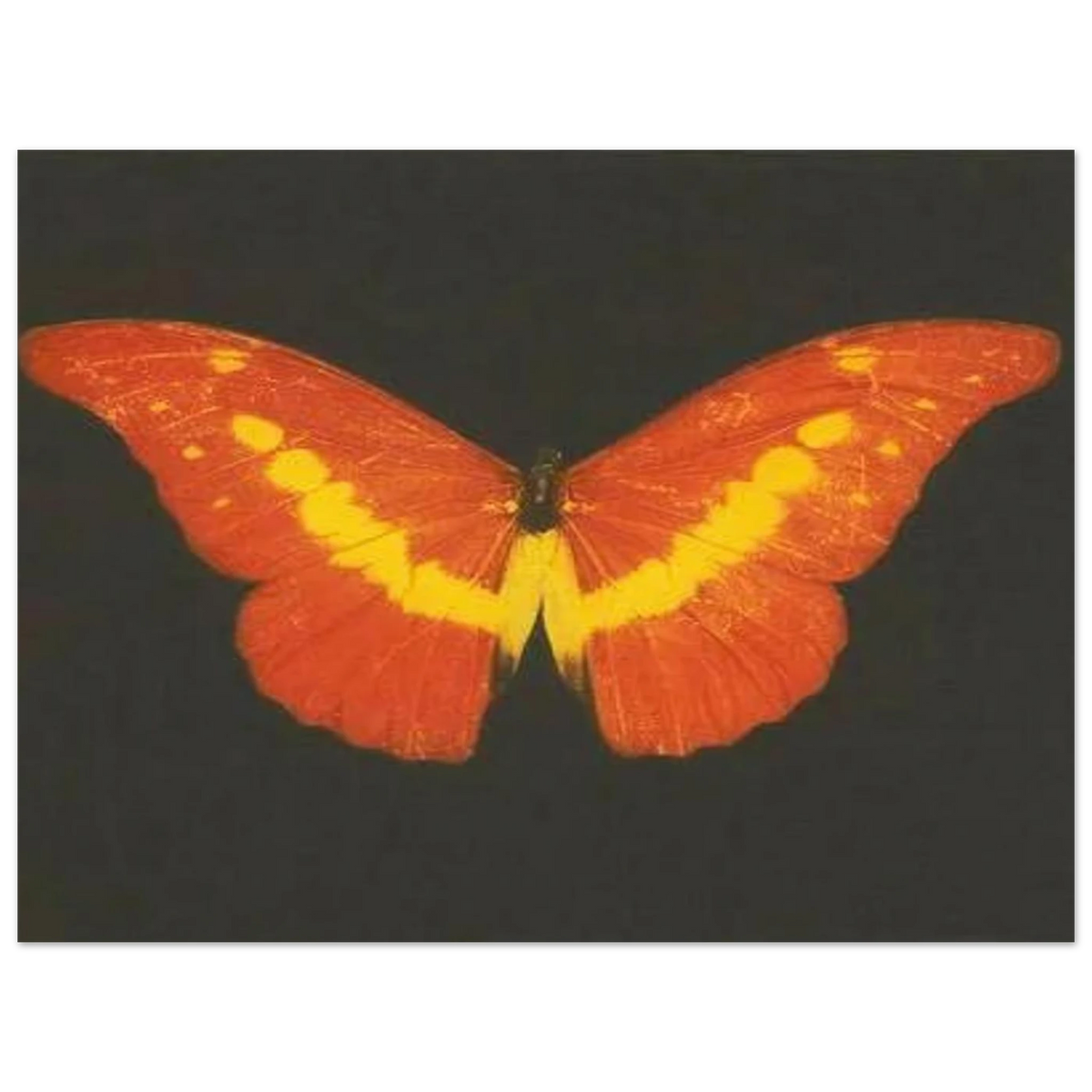 2c1209b3-be1d-48e0-b879-ebb97371c2f3