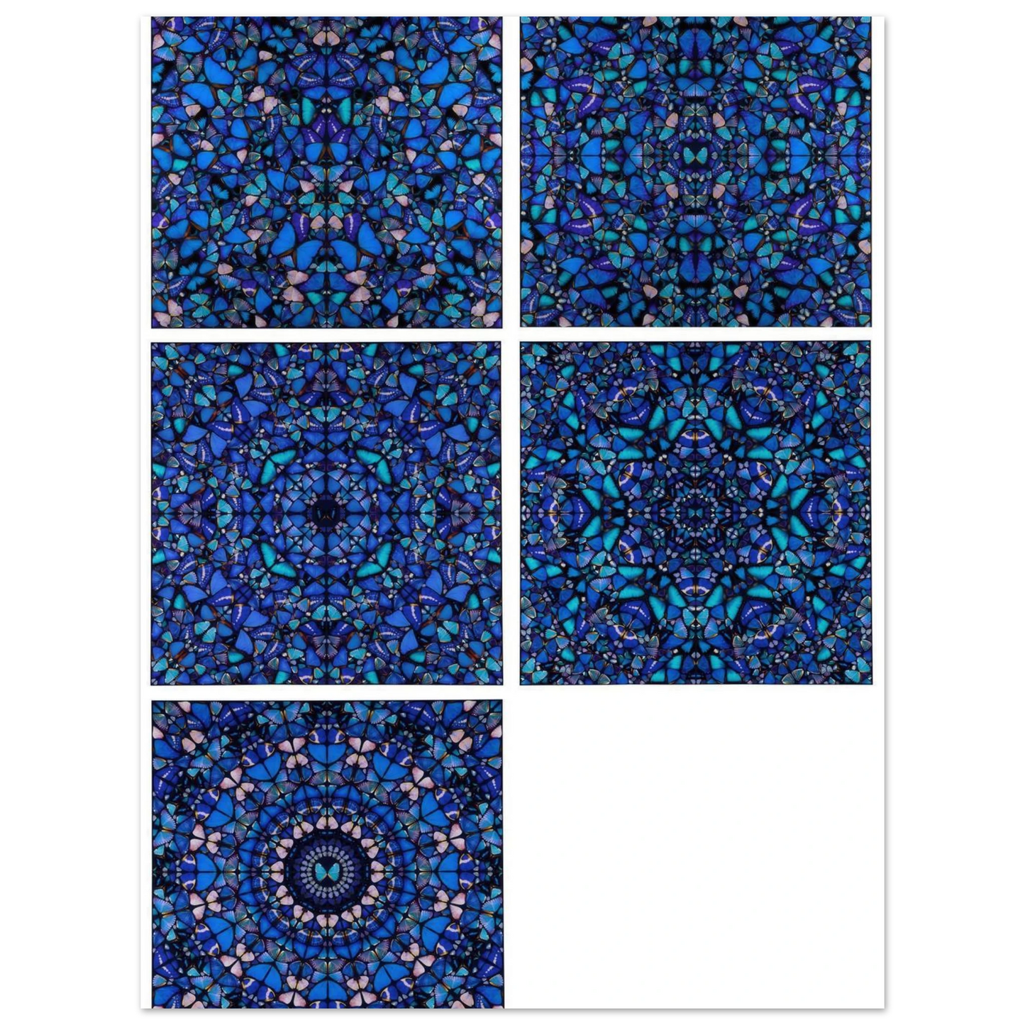 2d0f2608-595b-4aef-a463-10f7130a0cb9
