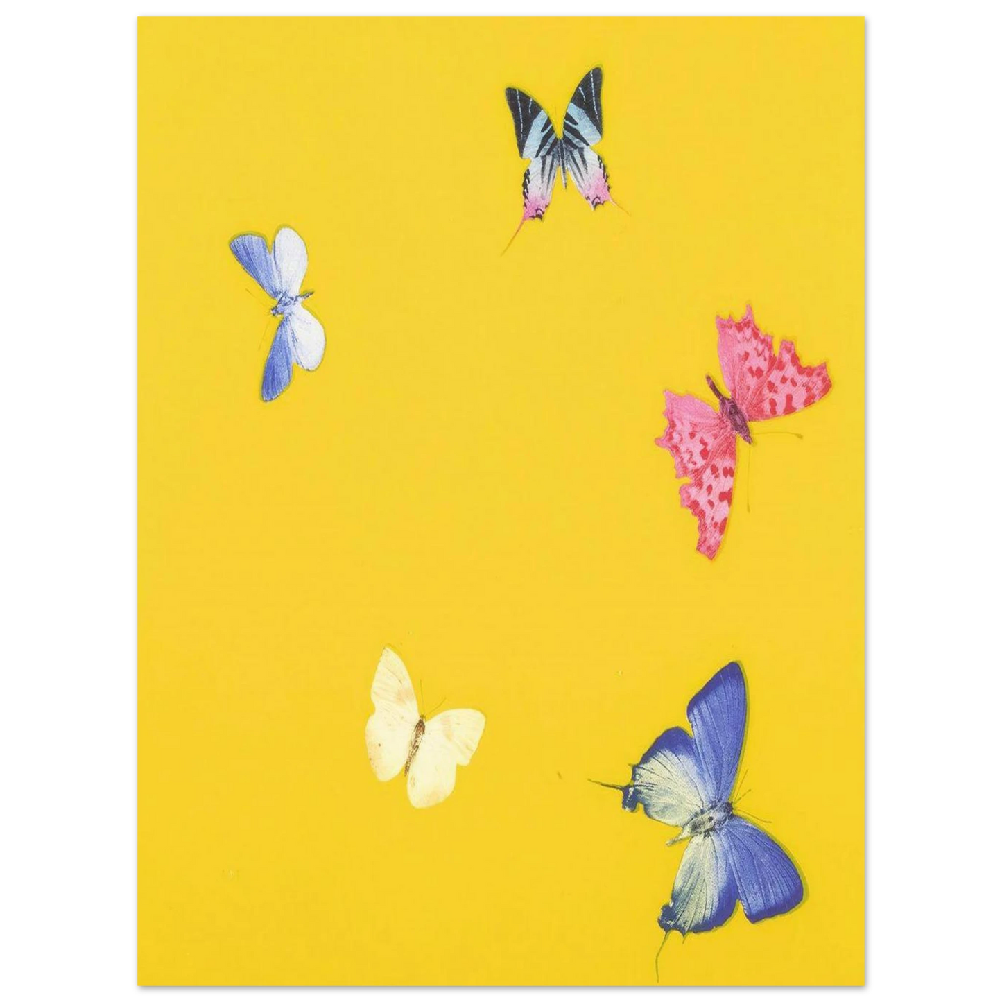 2d66ab52-f134-4d80-a3ee-f358b7ed199f