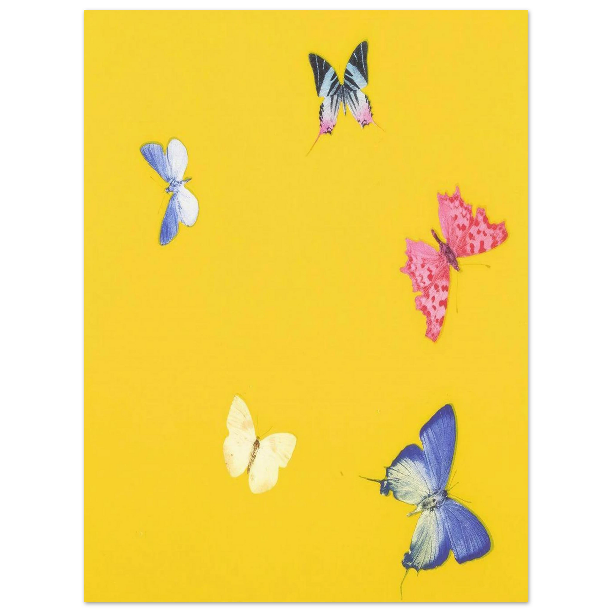 2d66ab52-f134-4d80-a3ee-f358b7ed199f