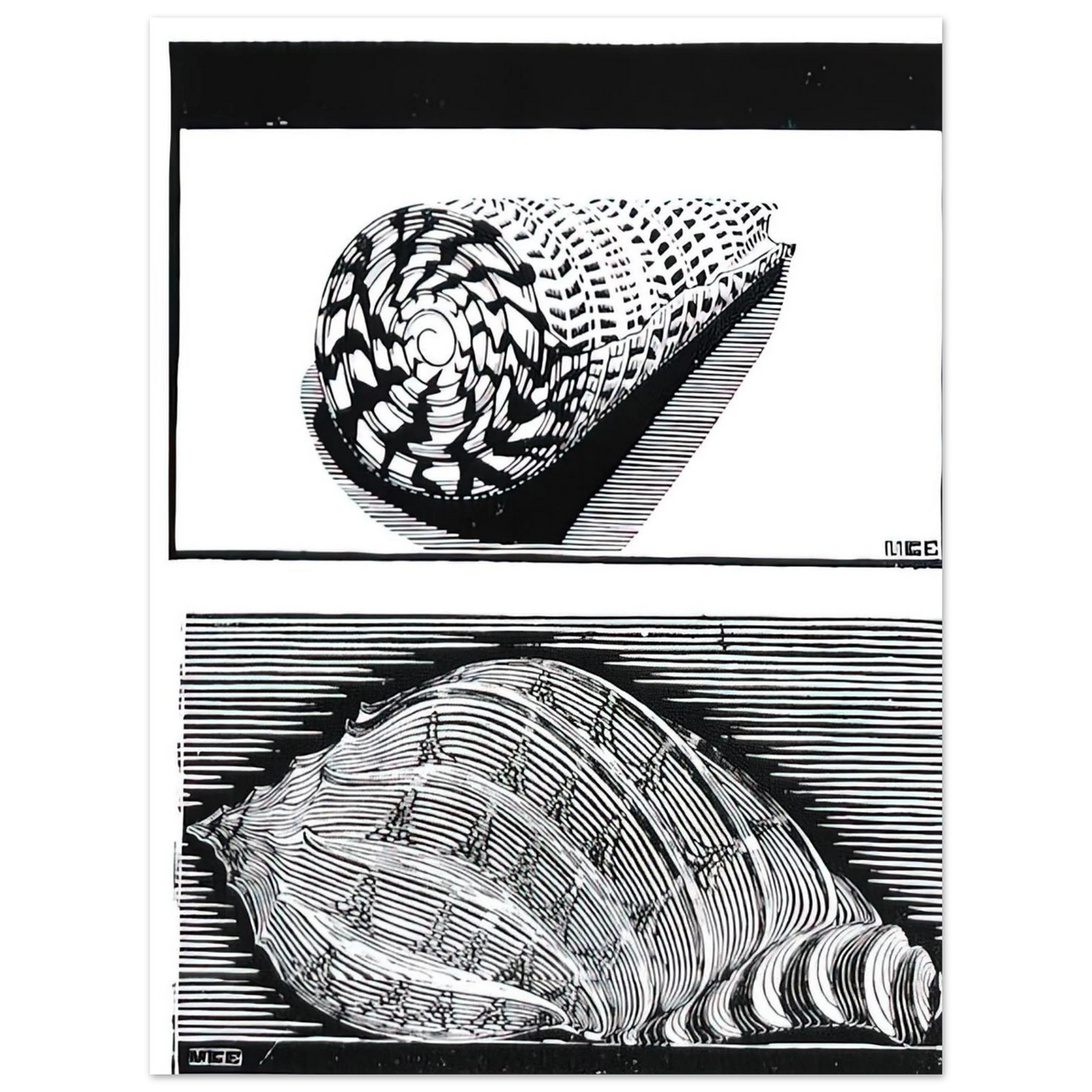340f4ef4-38cb-43ad-95ca-4cef48f4286c