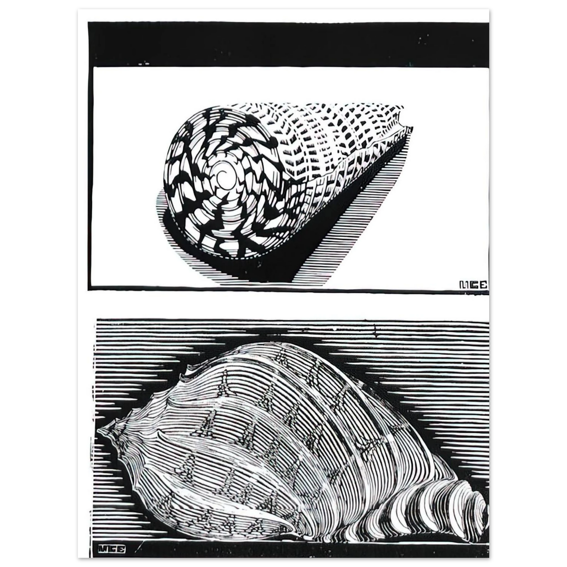 340f4ef4-38cb-43ad-95ca-4cef48f4286c