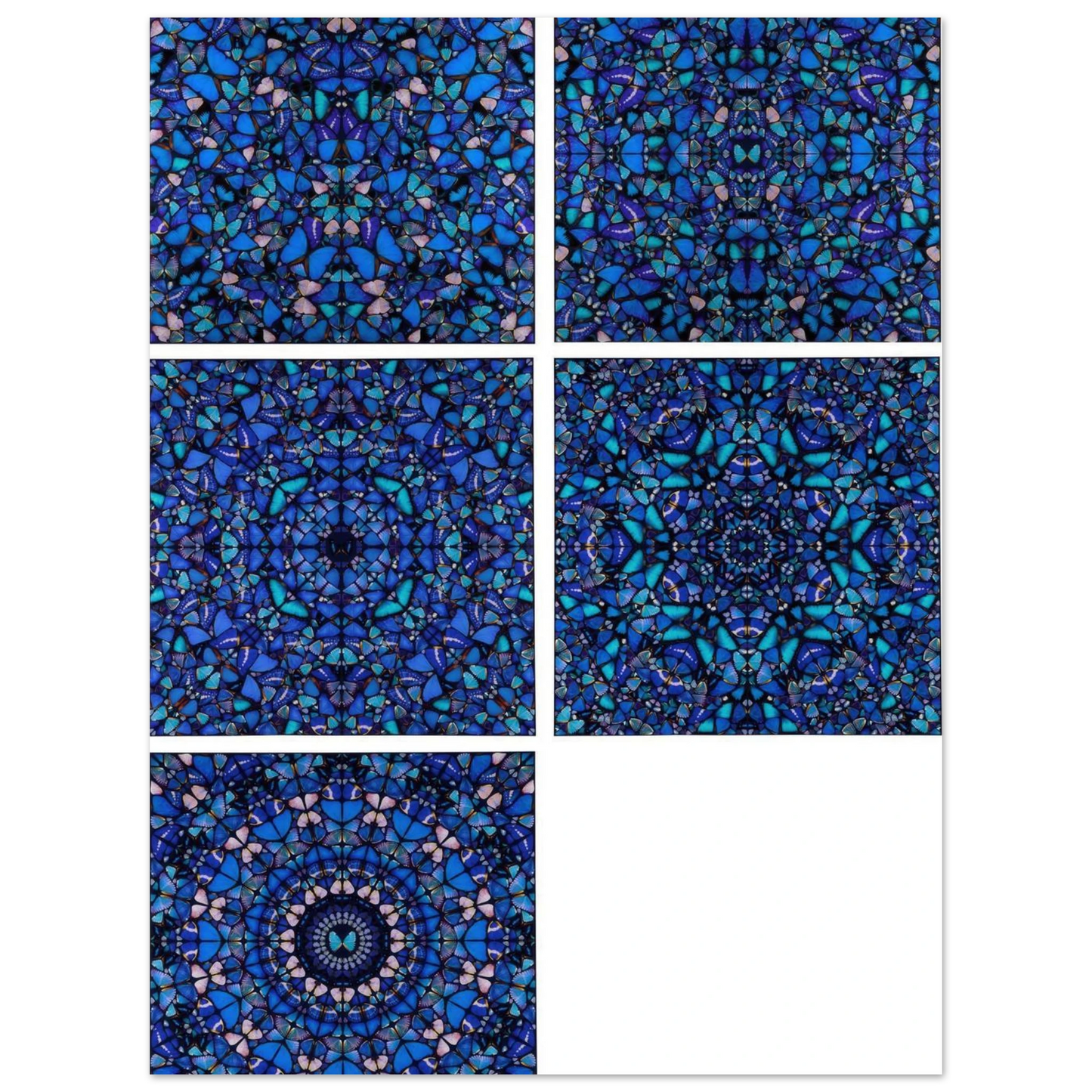 379d5630-4447-4d8f-a831-96a30f056066