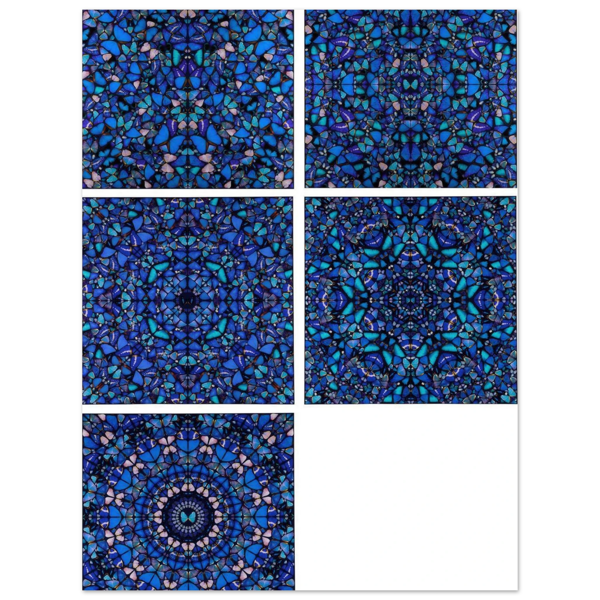 379d5630-4447-4d8f-a831-96a30f056066