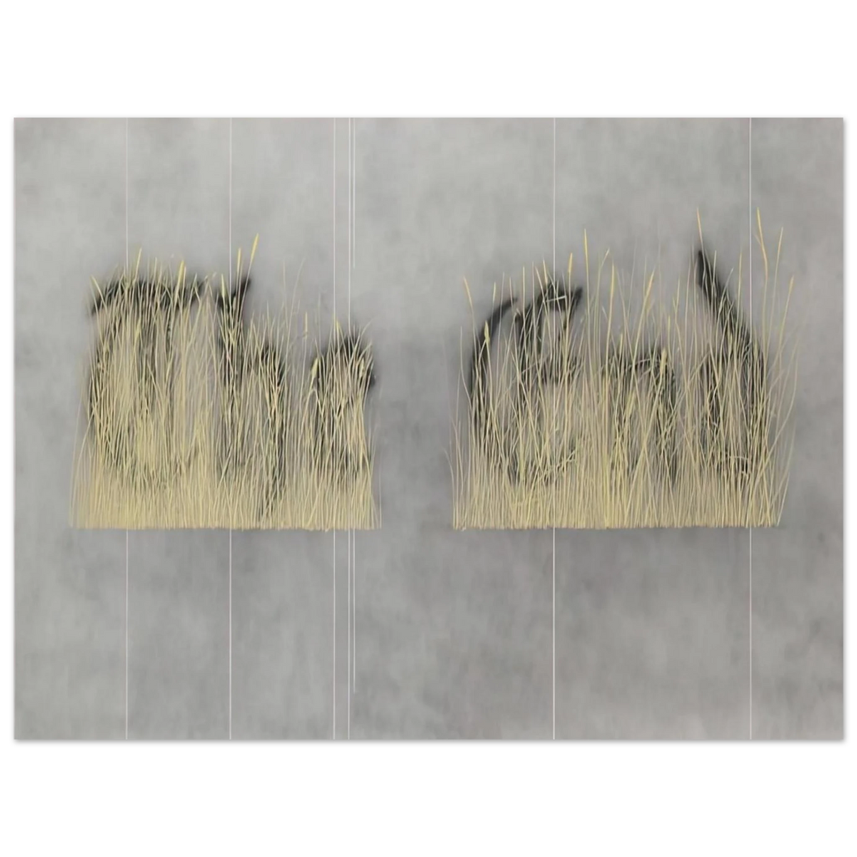 3b3773f8-9e09-4149-b52d-8dc2fa4c4c45