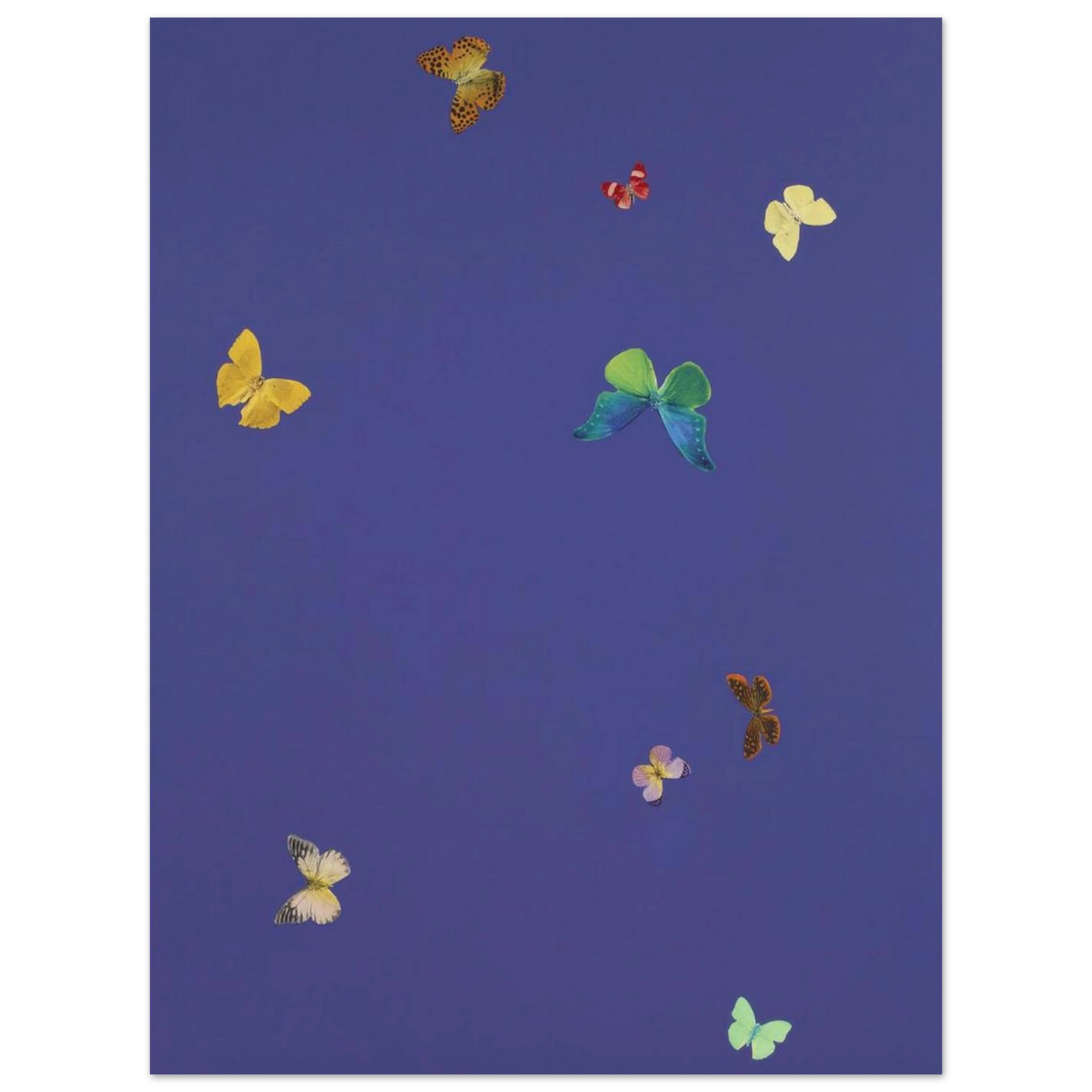 456209f7-1399-44d8-bbec-9517d2816755