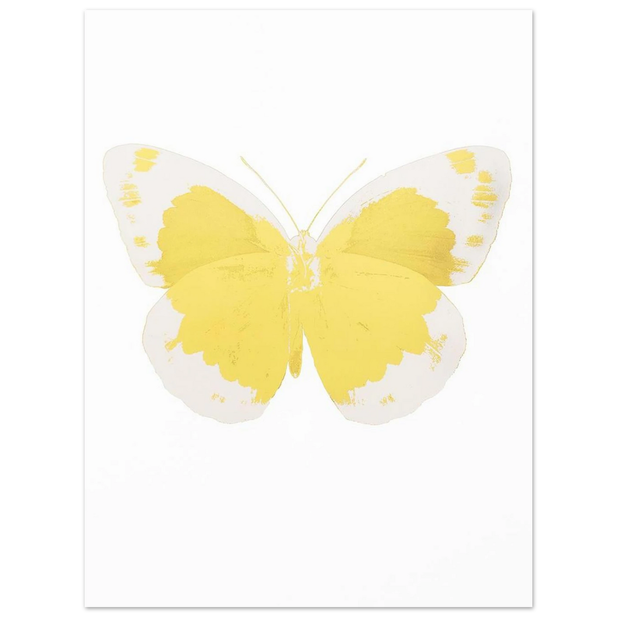 45866521-feb3-429a-a1d5-eb0fc2b4ae3e