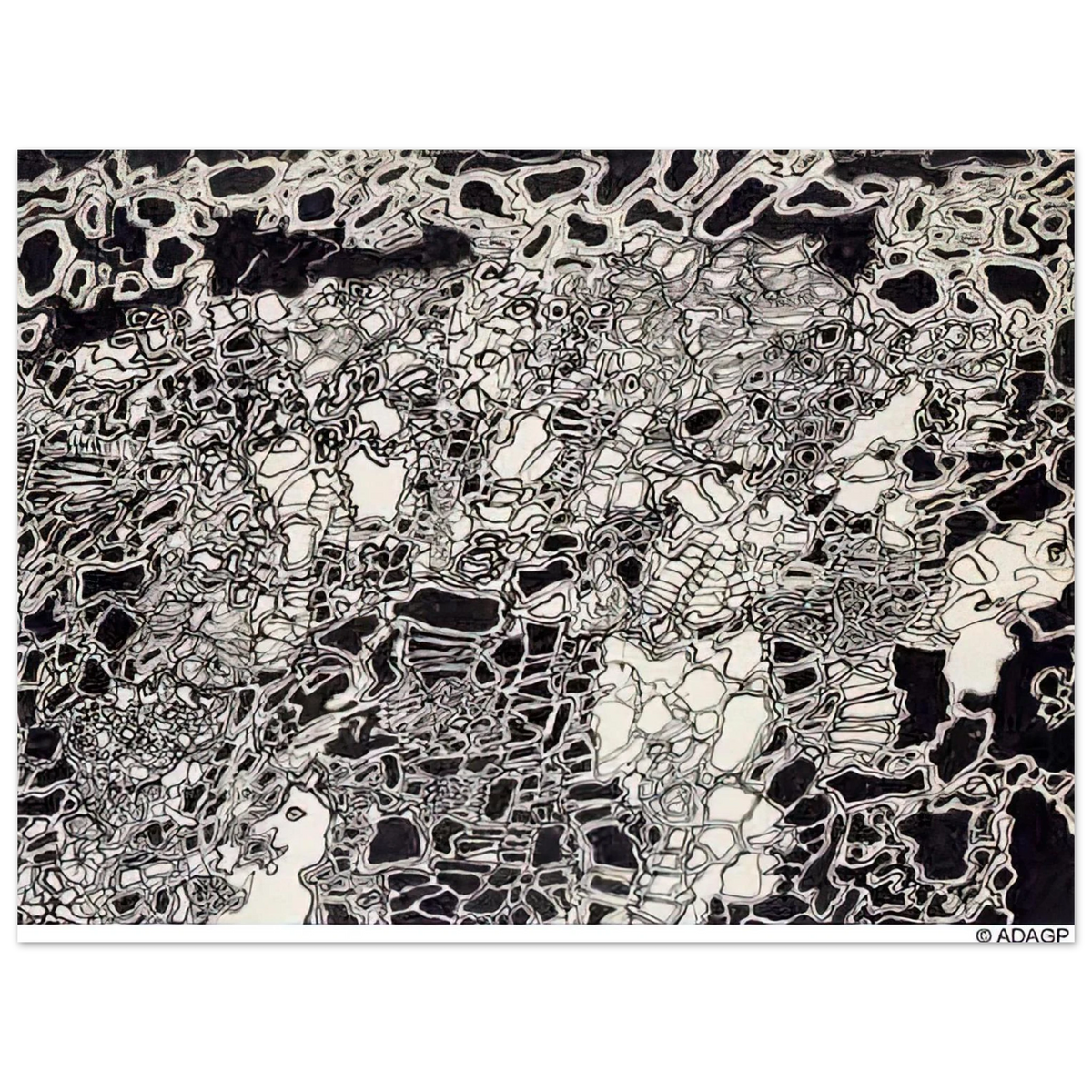463b6ed5-21fc-492c-a885-d5c827033e45