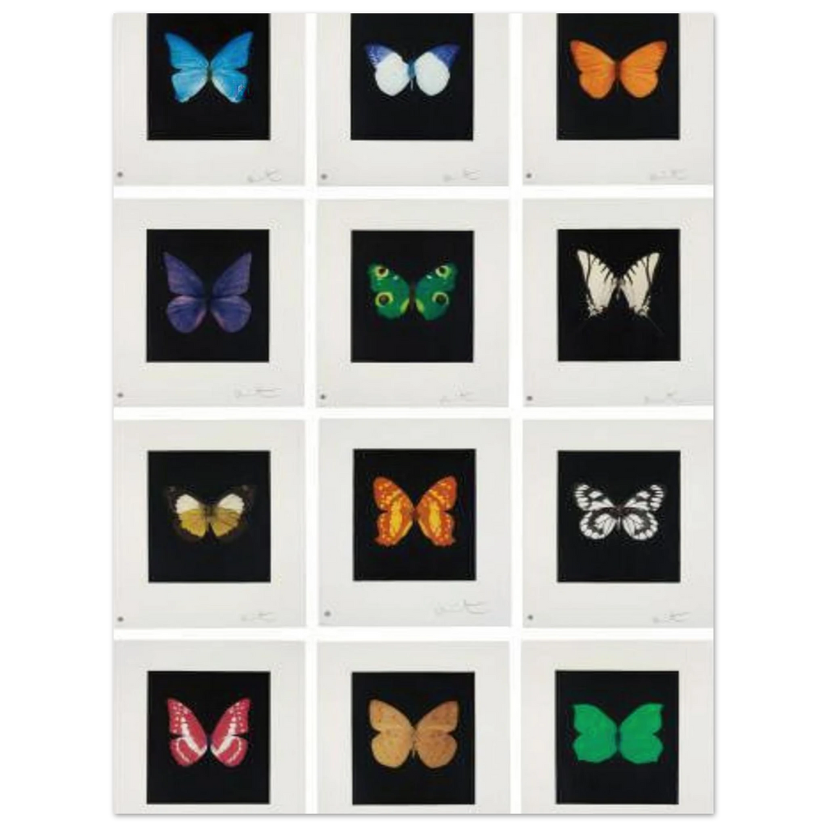 47f5e8a1-13bb-4659-a141-475e7707d03b