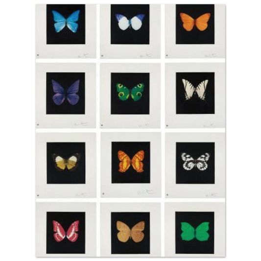 47f5e8a1-13bb-4659-a141-475e7707d03b