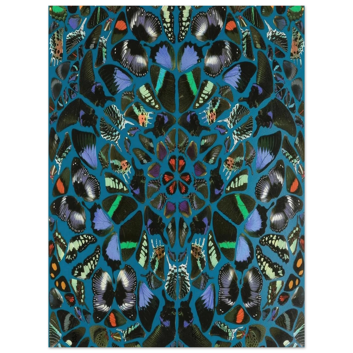 4d5395b8-561d-4f12-aa32-7664f03ca8c1